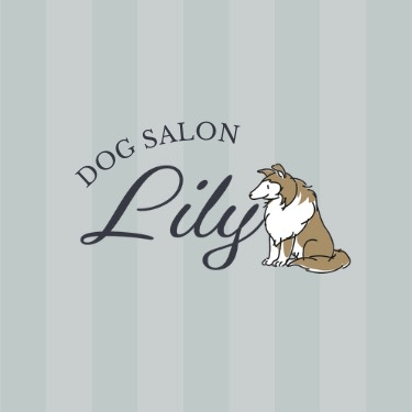 dog salon Lily（ドッグサロンリリー）様｜導入事例｜美容室・サロンの